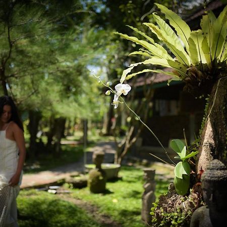 Taman Nauli Boutique Rooms Canggu Exterior foto