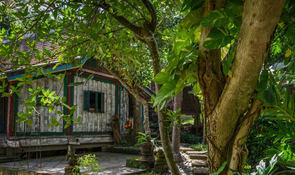 Taman Nauli Boutique Rooms Canggu Exterior foto
